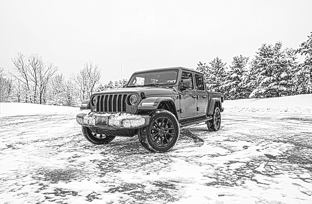 Standard truck - MGS 1300