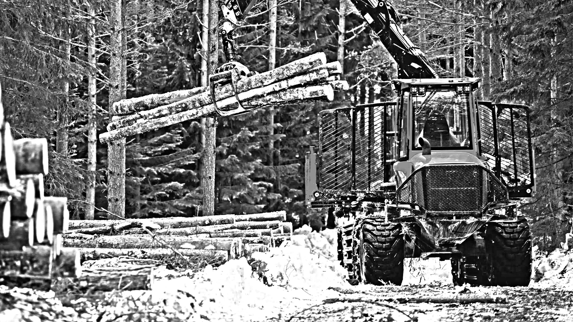Forwarder - MGS 1912